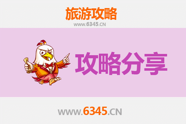 邢台威县至湄洲岛旅游攻略：跟团还是自由行深度解析